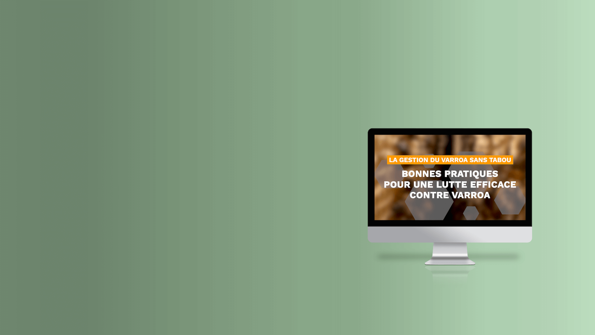 Webinaire Cas cliniques au rucher