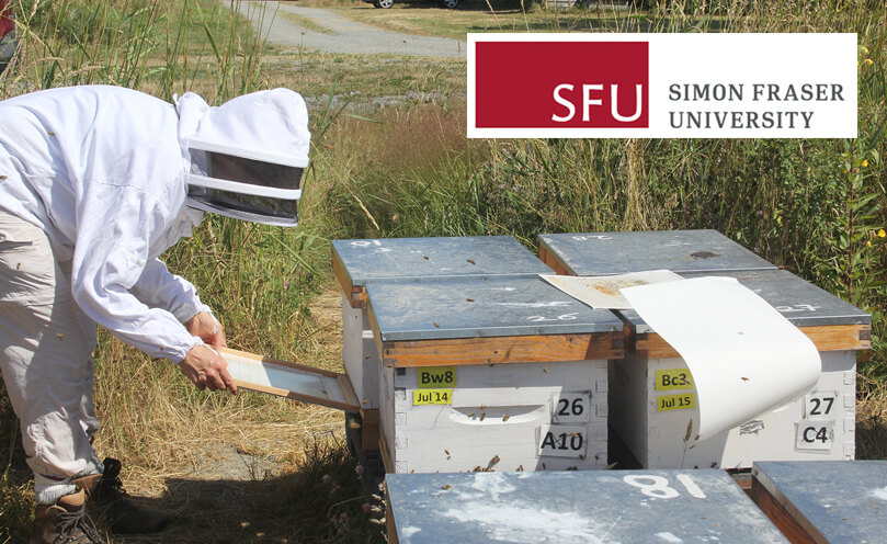 Collaboration avec l’Université Simon Fraser pour lutter contre Varroa