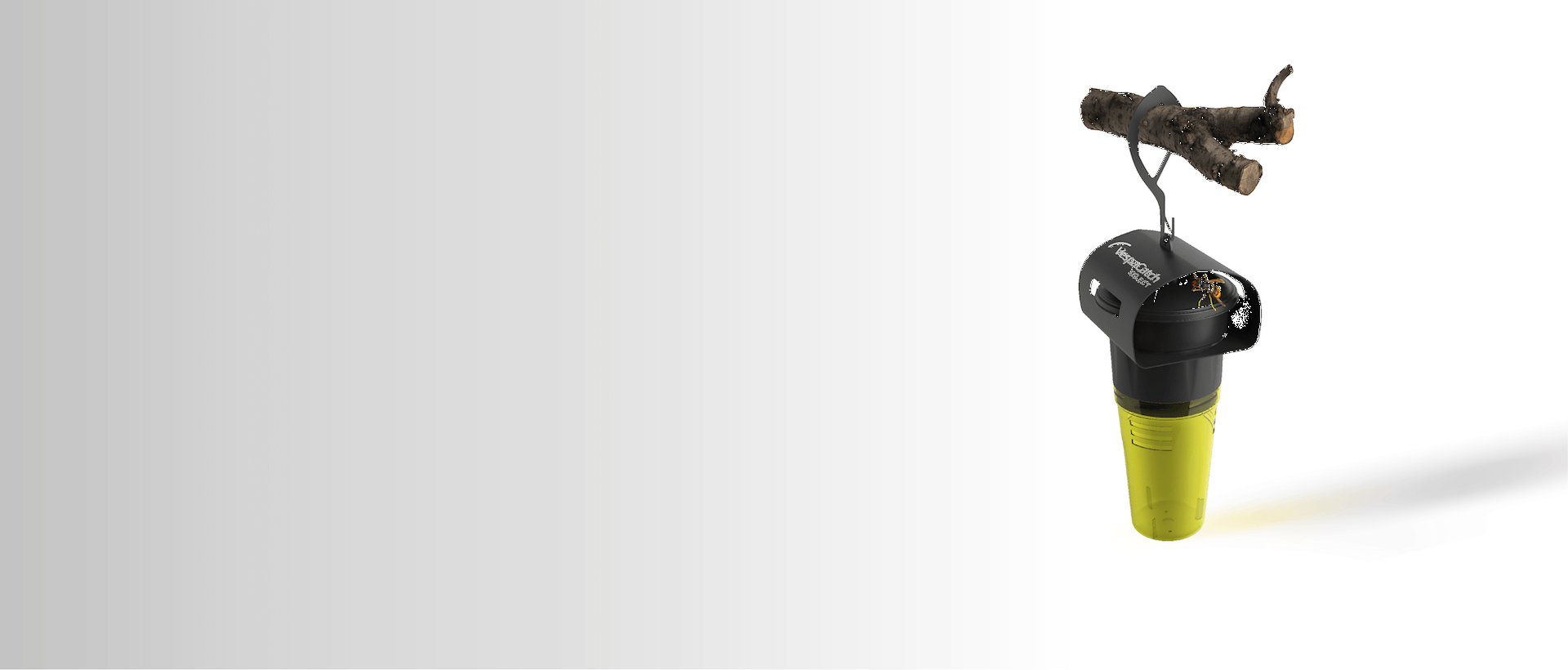 Webinaire Cas cliniques au rucher